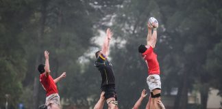 World Rugby reveals 2023 World Cup qualification process