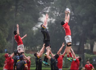 World Rugby reveals 2023 World Cup qualification process