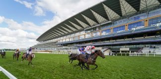 The Switch partners with TJK to stream UK horseracing