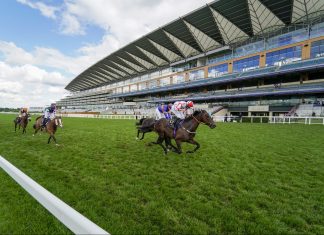 The Switch partners with TJK to stream UK horseracing