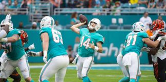 MKF secures Miami Dolphins strategic partnership