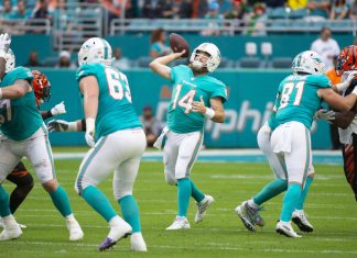 MKF secures Miami Dolphins strategic partnership