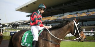 Jockey Adam Hyeronimus guilty of betting charges