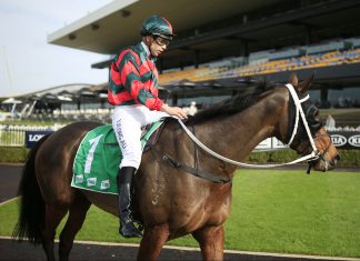 Jockey Adam Hyeronimus guilty of betting charges