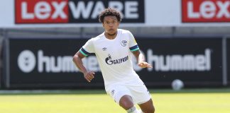 Harfid scores Schalke 04 premium partnership