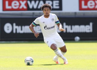 Harfid scores Schalke 04 premium partnership