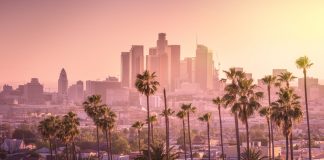 The City of Angels nets NWSL expansion team