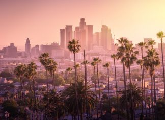 The City of Angels nets NWSL expansion team