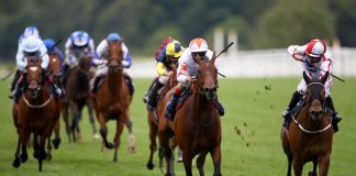 BHA: Delaying fans’ return ‘threatens the survival’ of the industry