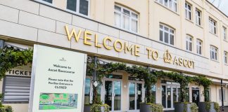 TPD adds Ascot to tracking data distribution portfolio
