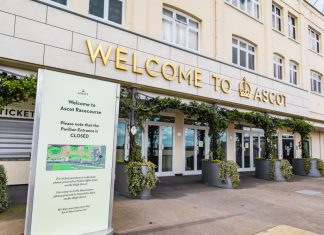 TPD adds Ascot to tracking data distribution portfolio