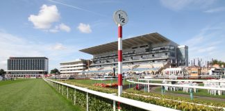 Bookmakers come to racing’s rescue with additional streaming and data fees