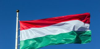 SportTech look to change the face of Hungarian sports