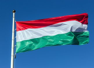 SportTech look to change the face of Hungarian sports