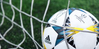 FA fines West Brom’s Paul Terry for betting breaches Champions League matchball