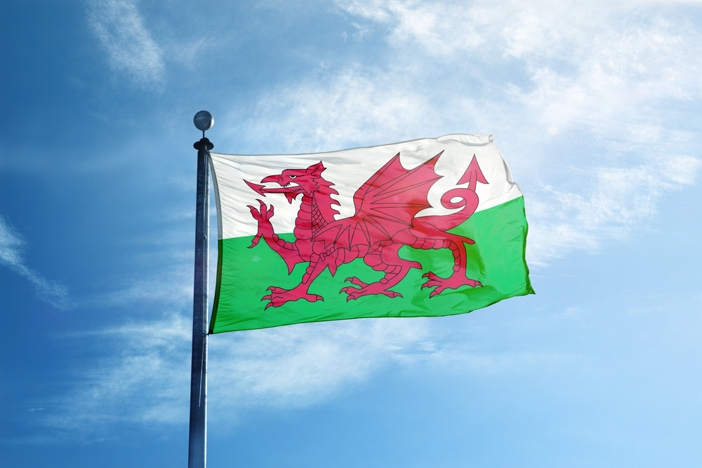 Welsh. Флаг Уэльса. Флаг Валес. Флаг Уэльса новгрии. Уэльса флаг замок.