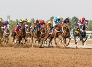 SIS ties down flagship Saudi Cup in two-year broadcast deal