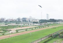 Indian horse racing industry booms despite COVID-19 pandemic