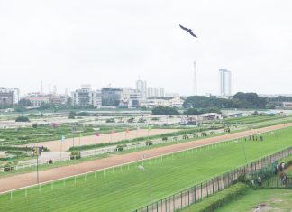 Indian horse racing industry booms despite COVID-19 pandemic