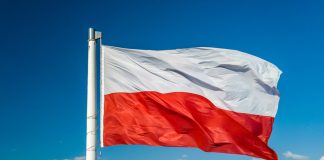 Exclusive Polish rights to LVision’s BetBooster secured by STS