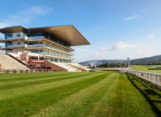 Irish racing given green light whilst Cheltenham faces uncertainty