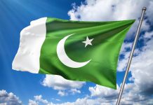 Sony secures international broadcast rights for Pakistan cricket