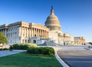 Danita Johnson makes history as first black president of MLS franchise The Capitol Building in Washington DC