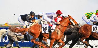 Horse racing’s financial concerns laid bare in template letter to MPs