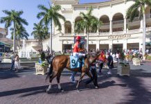 HBA Media secures Pegasus World Cup broadcasting rights