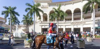 HBA Media secures Pegasus World Cup broadcasting rights
