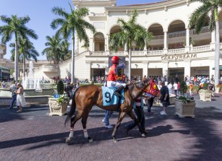 HBA Media secures Pegasus World Cup broadcasting rights