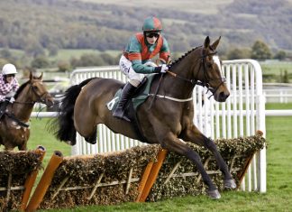 WellChild and The Jockey Club sign Cheltenham sponsorship deal