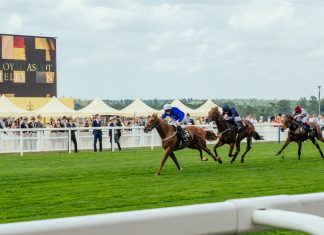 Felicity Barnard to manage sponsorship and partnerships at Ascot