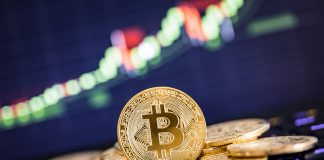 Beşiktaş JK fogres cryptocurrency sponsorship paid in Bitcoin