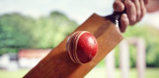 UAE sets plans in motion for new T20 cricket league