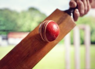 UAE sets plans in motion for new T20 cricket league