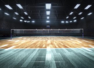 Genius expands client base with Lega Volley sign-up