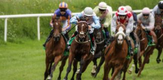 Racegoers ‘shouldn’t be concerned’ about spectator pilot exclusion, says RCA
