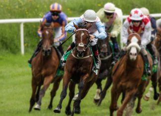 Racegoers ‘shouldn’t be concerned’ about spectator pilot exclusion, says RCA