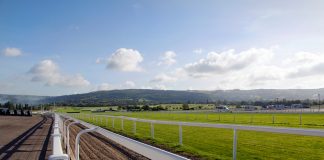 RMG posts record Cheltenham streaming figures for 2021 Festival