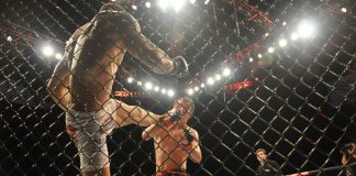 UFC strikes multi-million dollar Love Hemp sponsorship