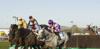 RacingTV to leverage 2mee’s direct human messaging system