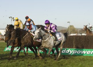 RacingTV to leverage 2mee’s direct human messaging system