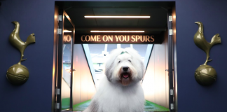 Fans brush over social media comments as Spurs teams with Dulux