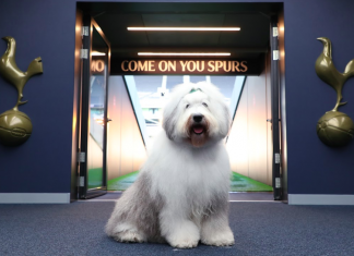 Fans brush over social media comments as Spurs teams with Dulux