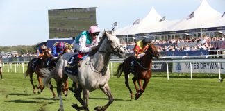 Cazoo to headline upcoming St Leger Festival