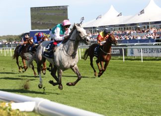 Cazoo to headline upcoming St Leger Festival