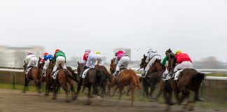 ARC names Novibet title sponsor of two Lingfield fixtures