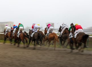 ARC names Novibet title sponsor of two Lingfield fixtures