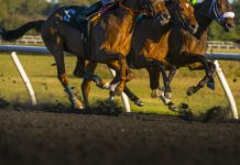 MansionBet passes the hurdle with Sky Sports Racing deal